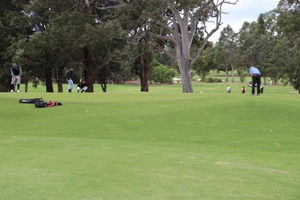 Putting at the 5th
