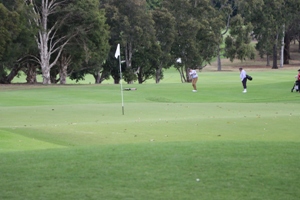 Andrew Daddo at the 15th