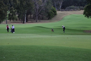 Alan Grieve at the 15th